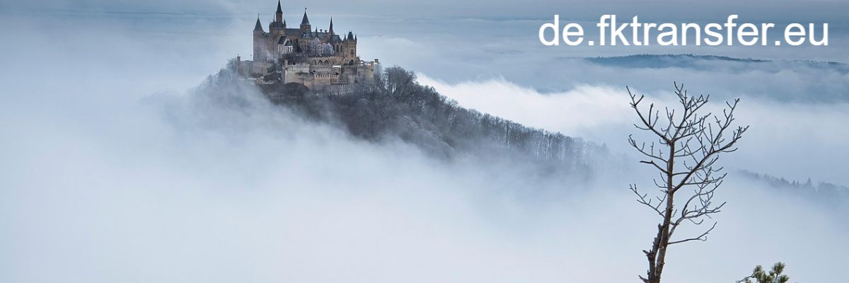de.fktransfer.eu